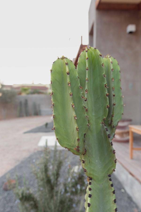 Casa Michaus Valle De Guadalupe Bagian luar foto