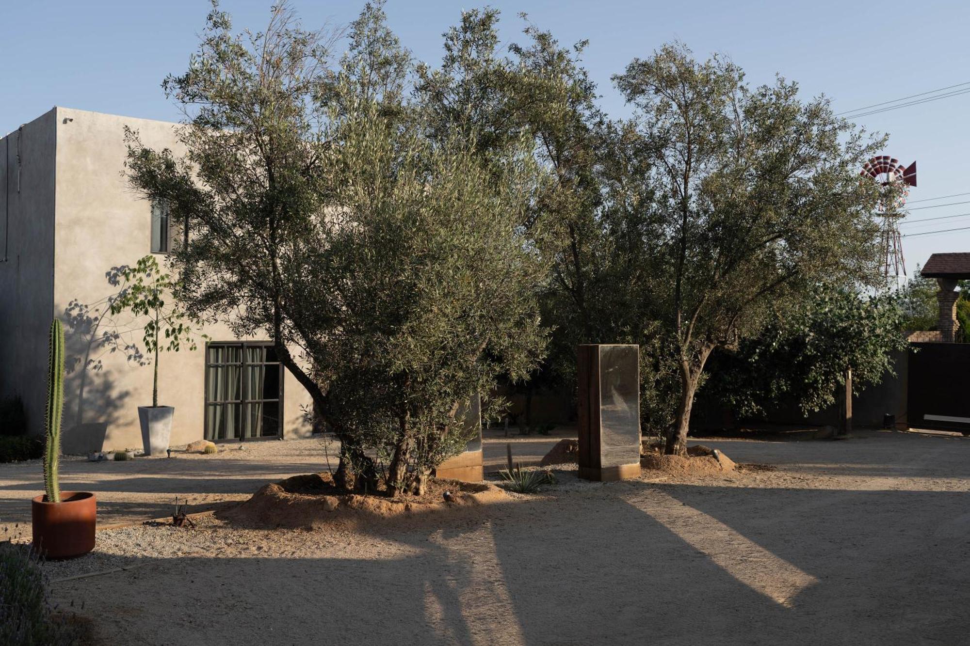 Casa Michaus Valle De Guadalupe Bagian luar foto